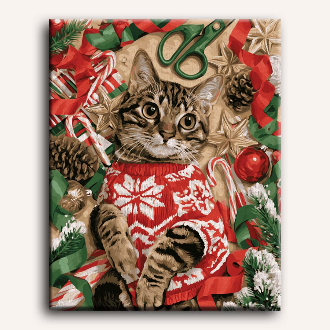 Kat in kersttrui
