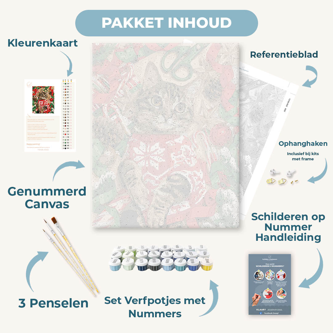Kat in kersttrui