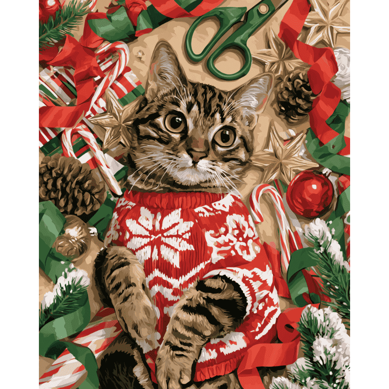 Kat in kersttrui