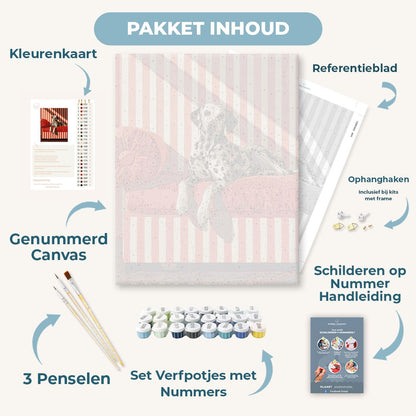 Dalmatiër op strepen