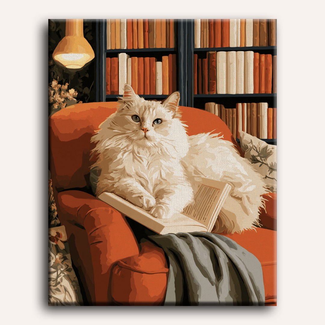Ragdoll dut in de bibliotheek