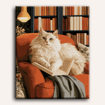 Ragdoll dut in de bibliotheek