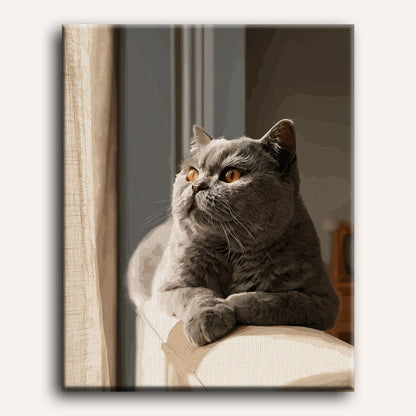 Dagdroom van de grijze kat