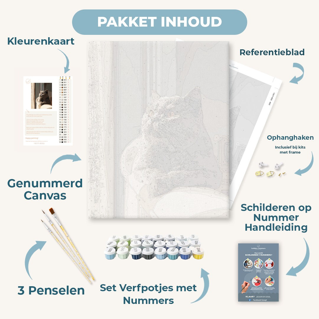 Dagdroom van de grijze kat