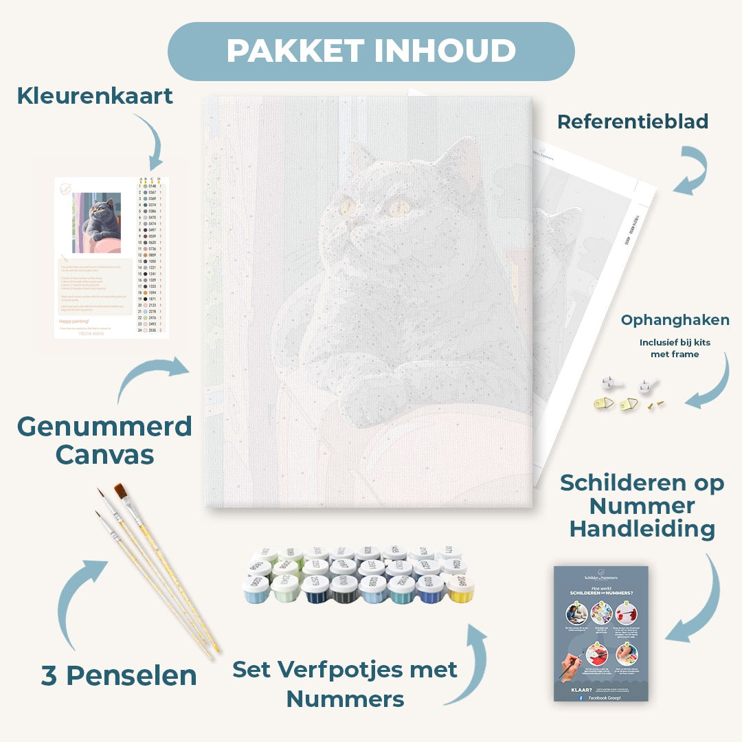 Nieuwsgierige grijze kat