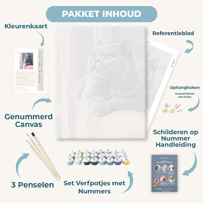 Nieuwsgierige grijze kat
