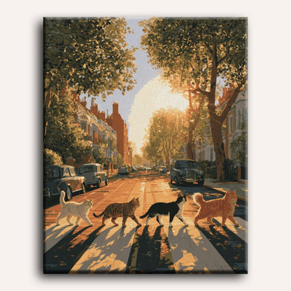 Kattenoversteek