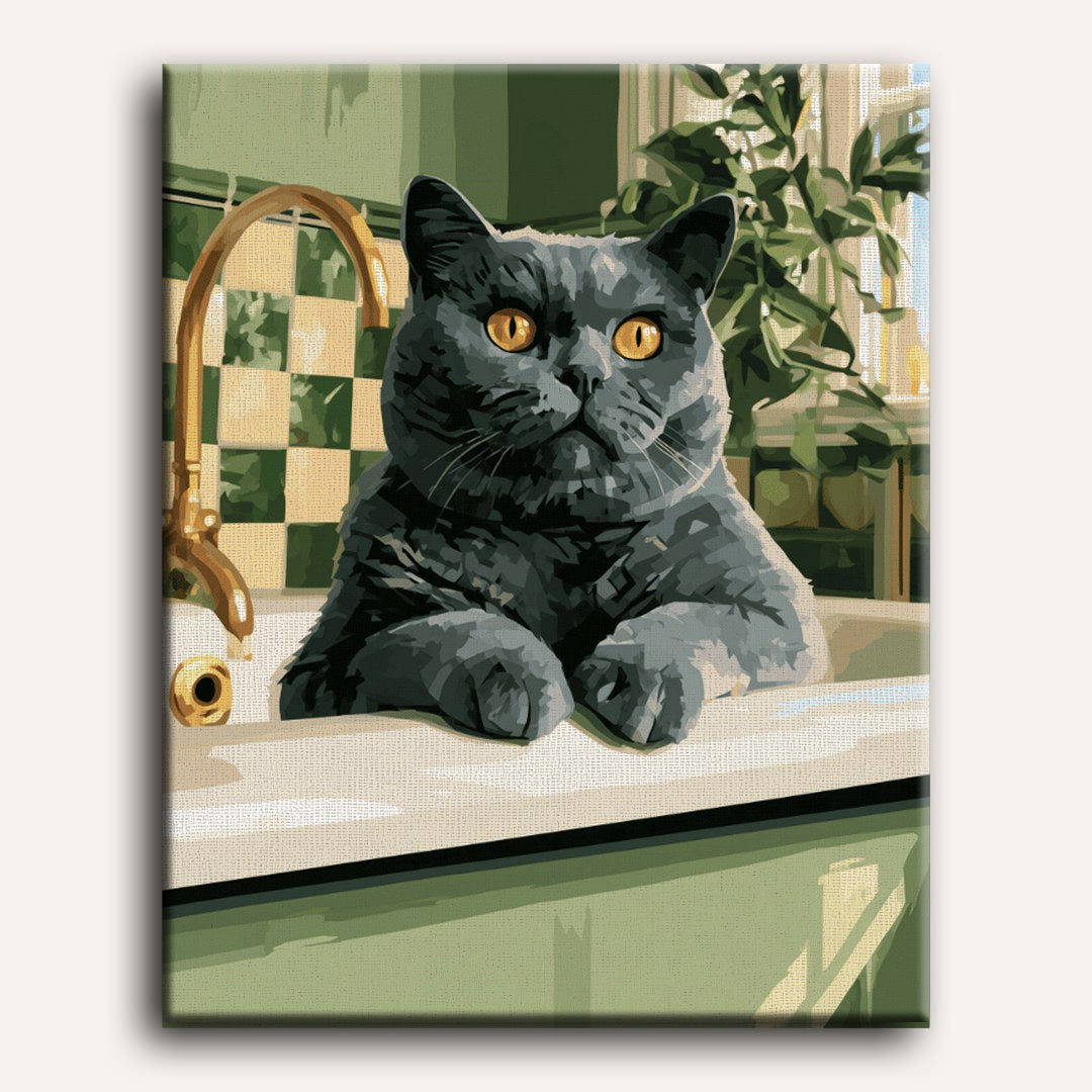 Kat bij de wasbak