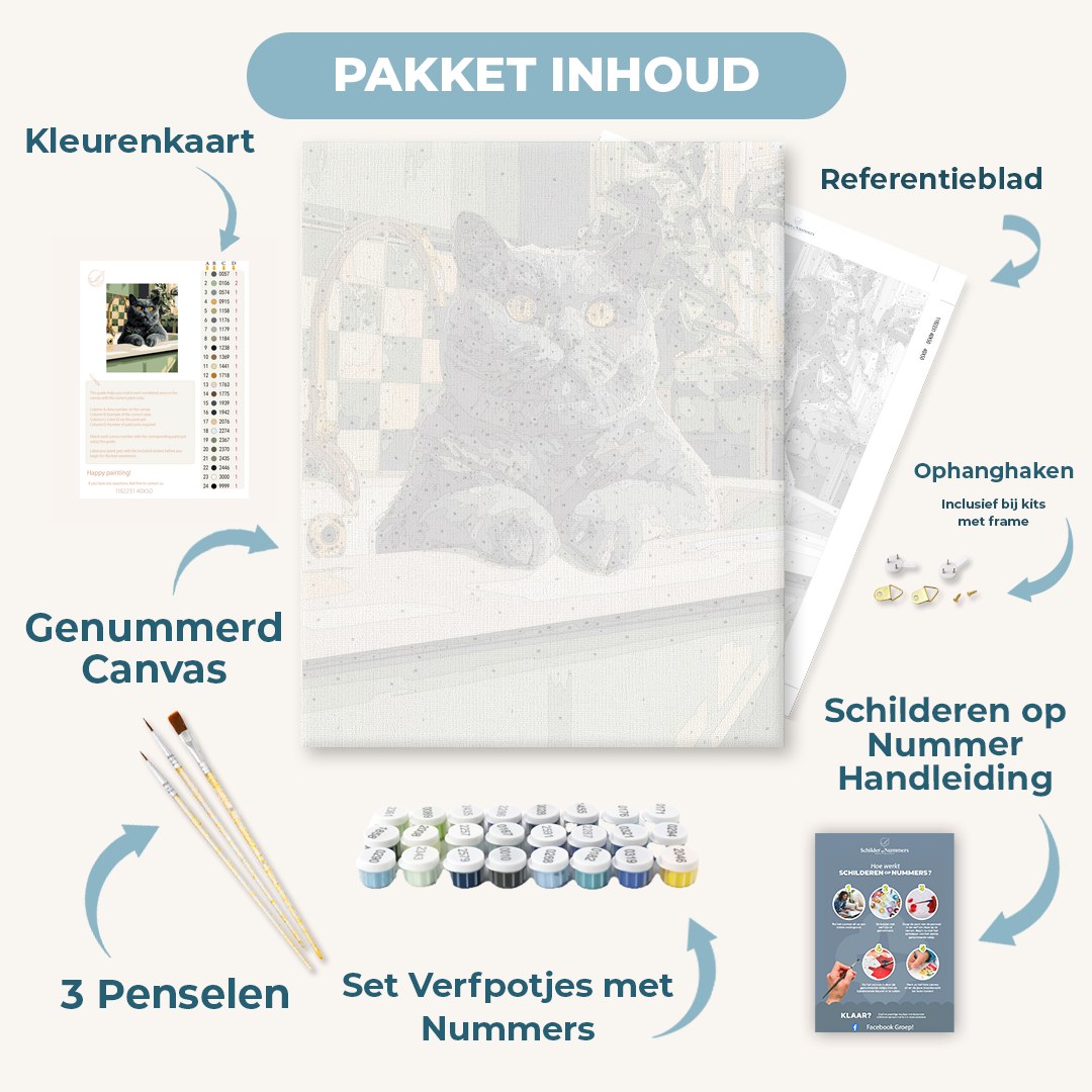 Kat bij de wasbak