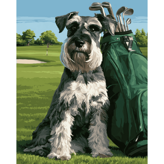 Schnauzer op de golfbaan