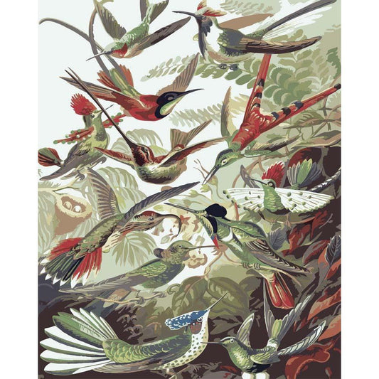 Schilder Op Nummers - Trochilidae Kolibris - Ernst Haeckel