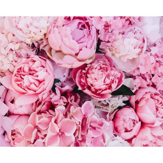 Schilder Op Nummers - Roze Pioenrozen