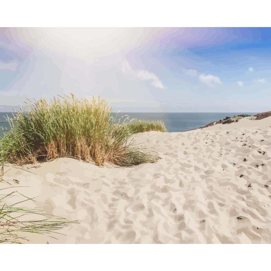 Schilder Op Nummers - Duinen op het Strand
