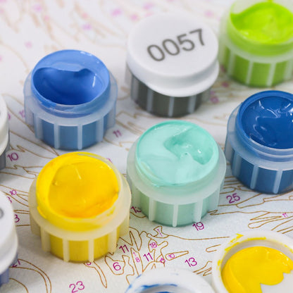 Extra Acrylverf Set – Schilderen op Nummers