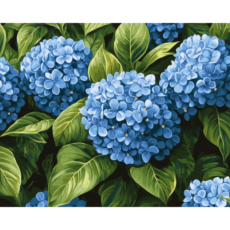 Blauwe hortensia's