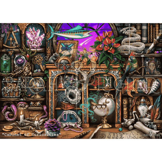 Cabinet of Curiosities - by Sarah Richter
