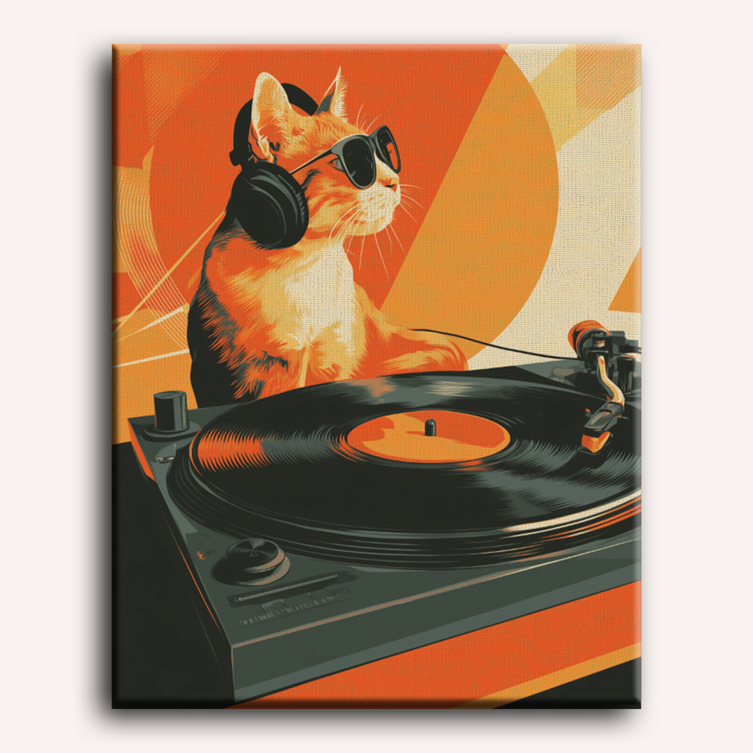 Kat is een dj