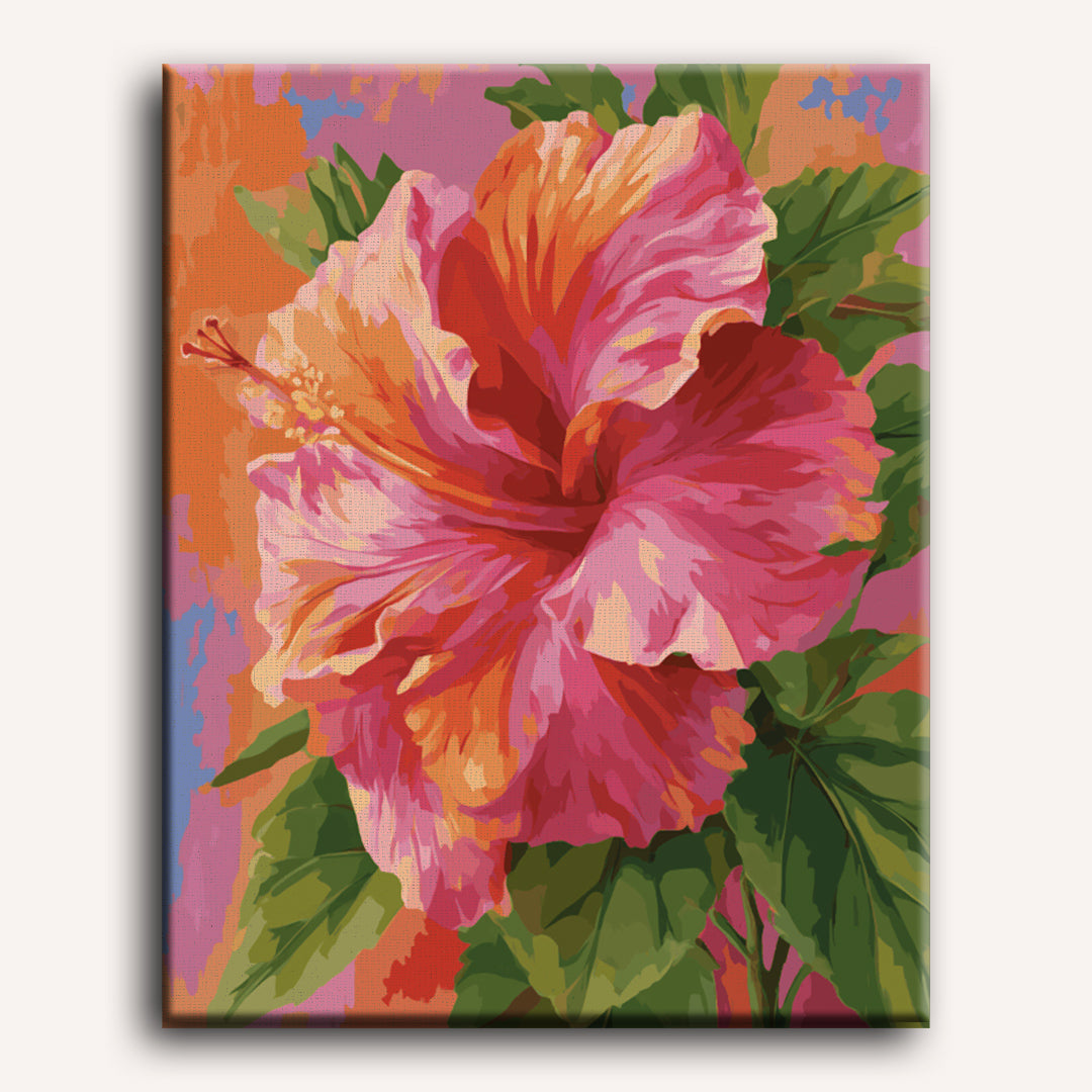 Kleurrijke hibiscus