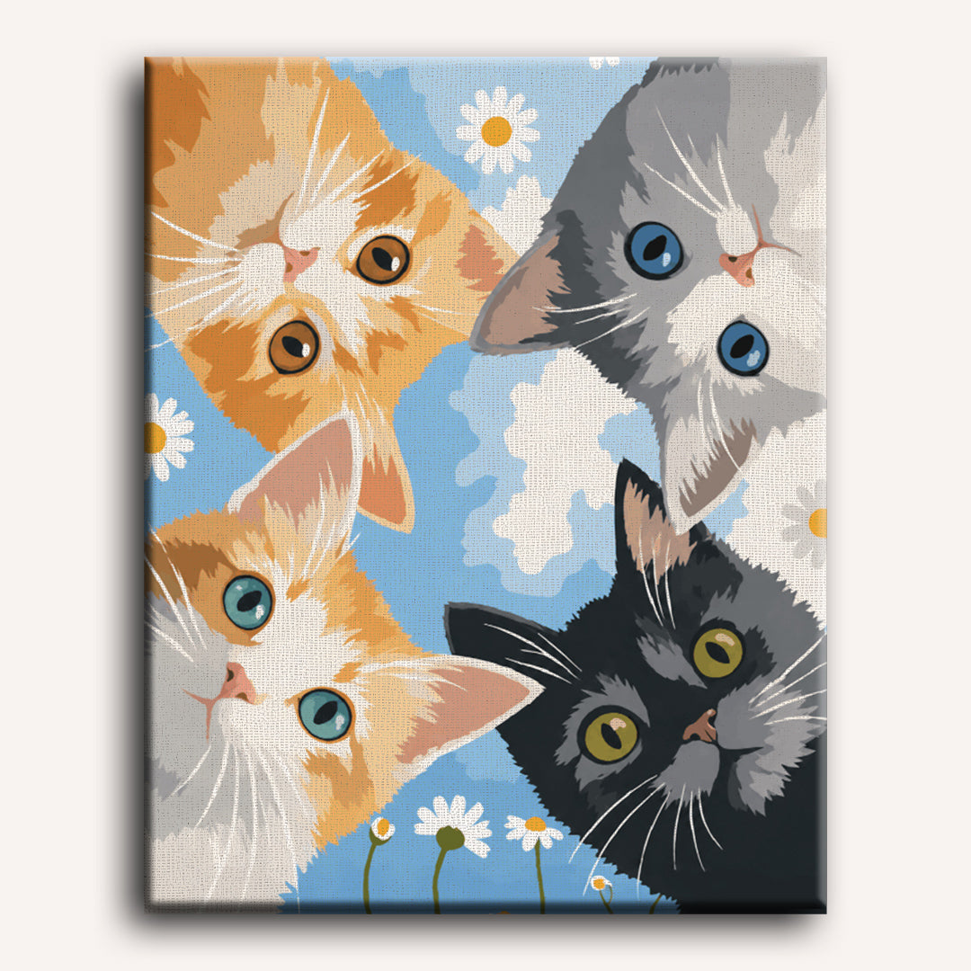 Kijkende kittens