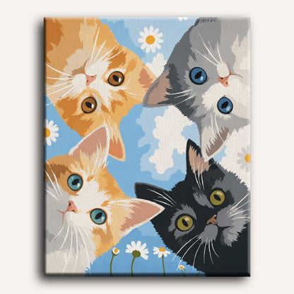 Kijkende kittens