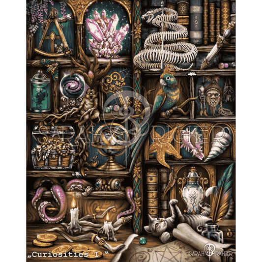 Curiosities-I - by Sarah Richter