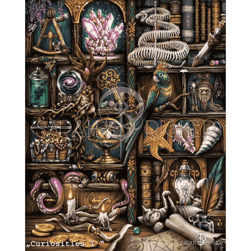 Curiosities-I - by Sarah Richter