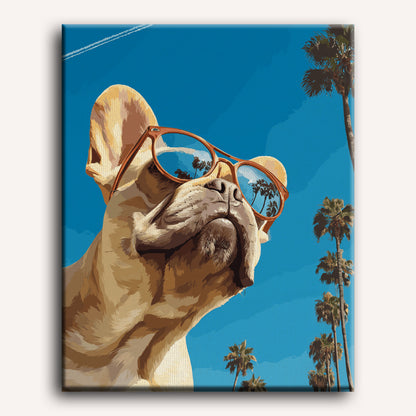 Franse buldog