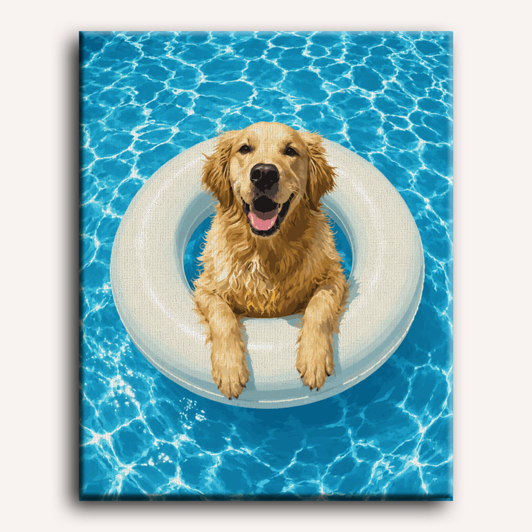 Zwemmende golden retriever