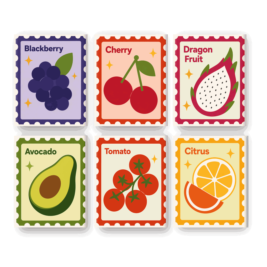 6 Mini Paintings | Fruit Stempels Set - Schilder Op Nummers
