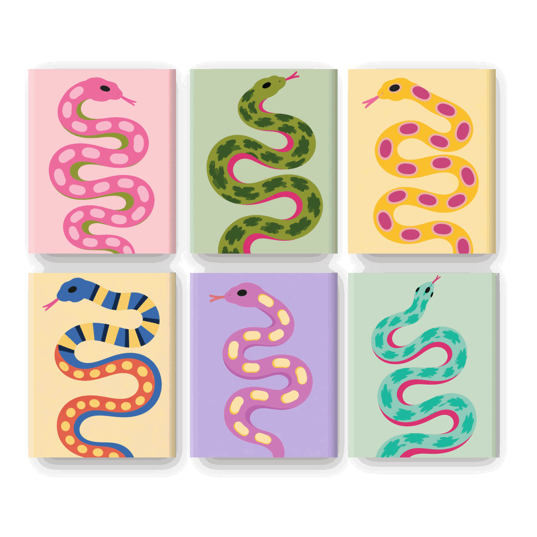 6 Mini Paintings | Slangen Parade Set