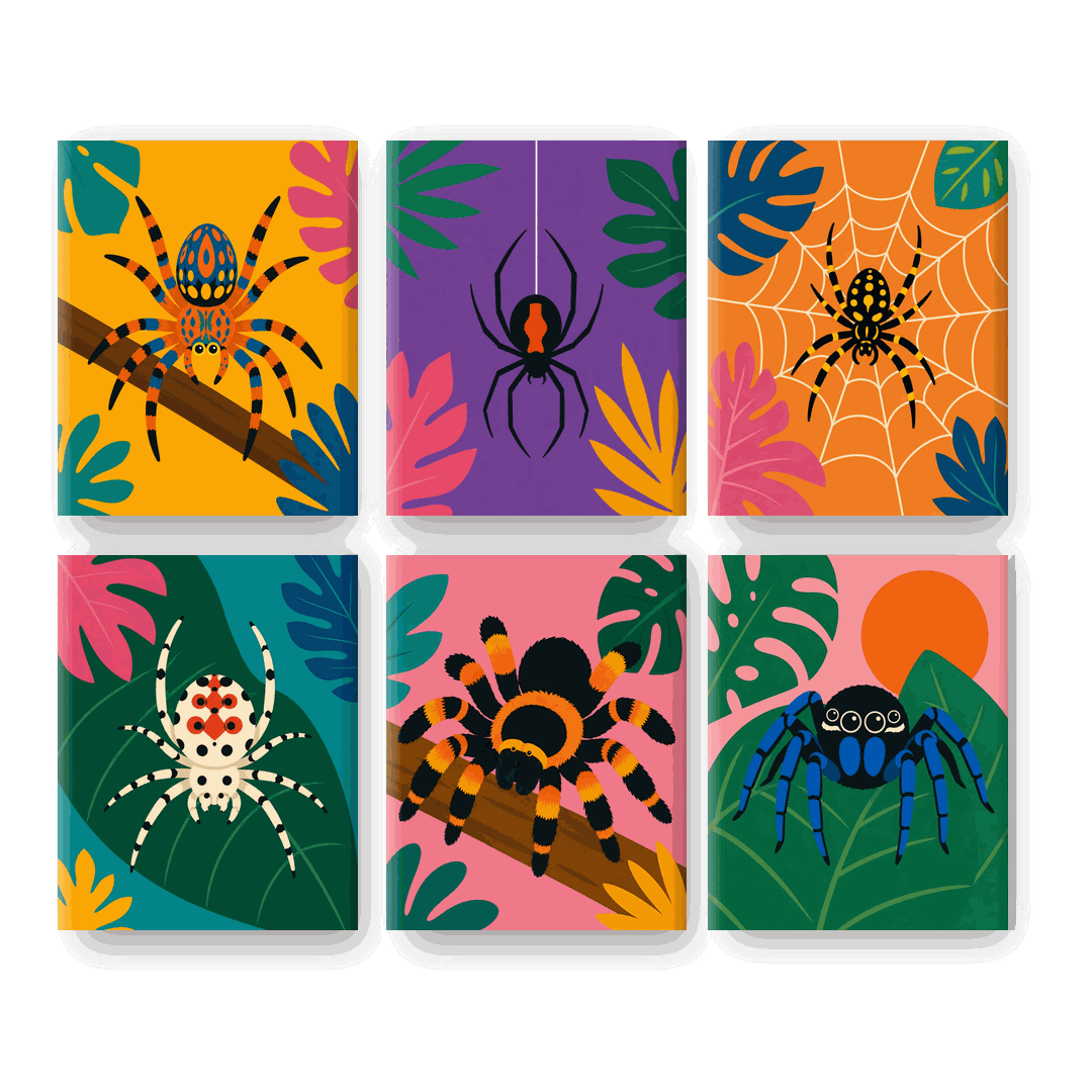 6 Mini Paintings | Exotische Spin Set