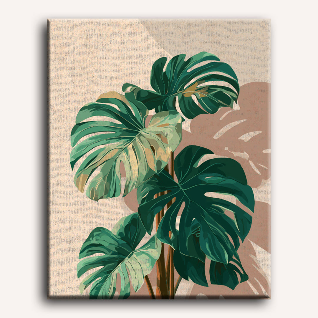 Monstera schaduwen