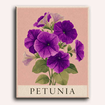 Petunia