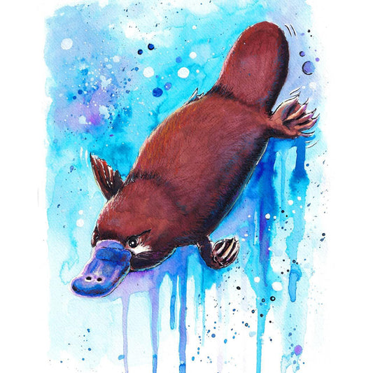 Schilder Op Nummers - Platypus - By Tiny Tami