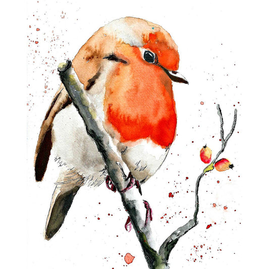 Schilder Op Nummers - Robin - By Tiny Tami