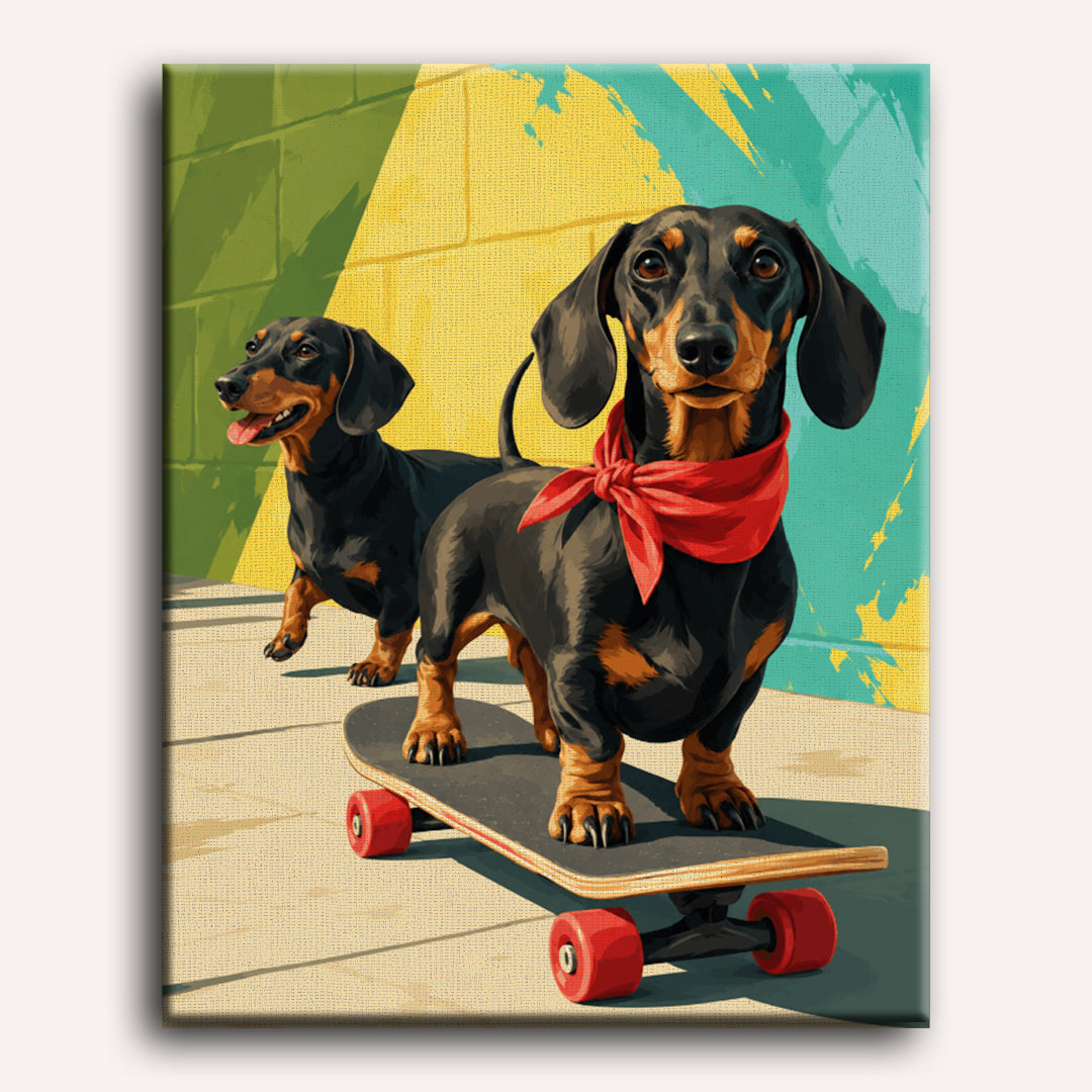 Skater teckel