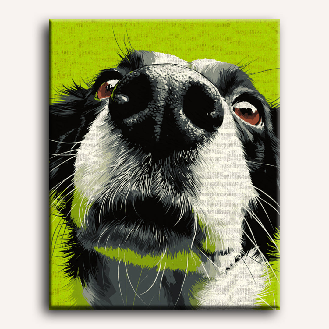 Snuffelstand
