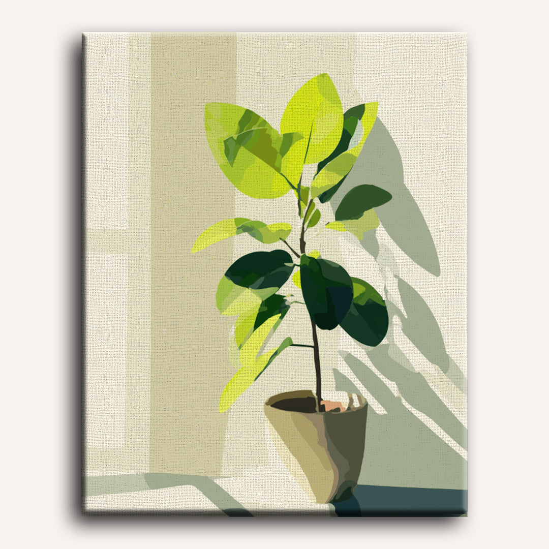 Zonbeschenen ficus