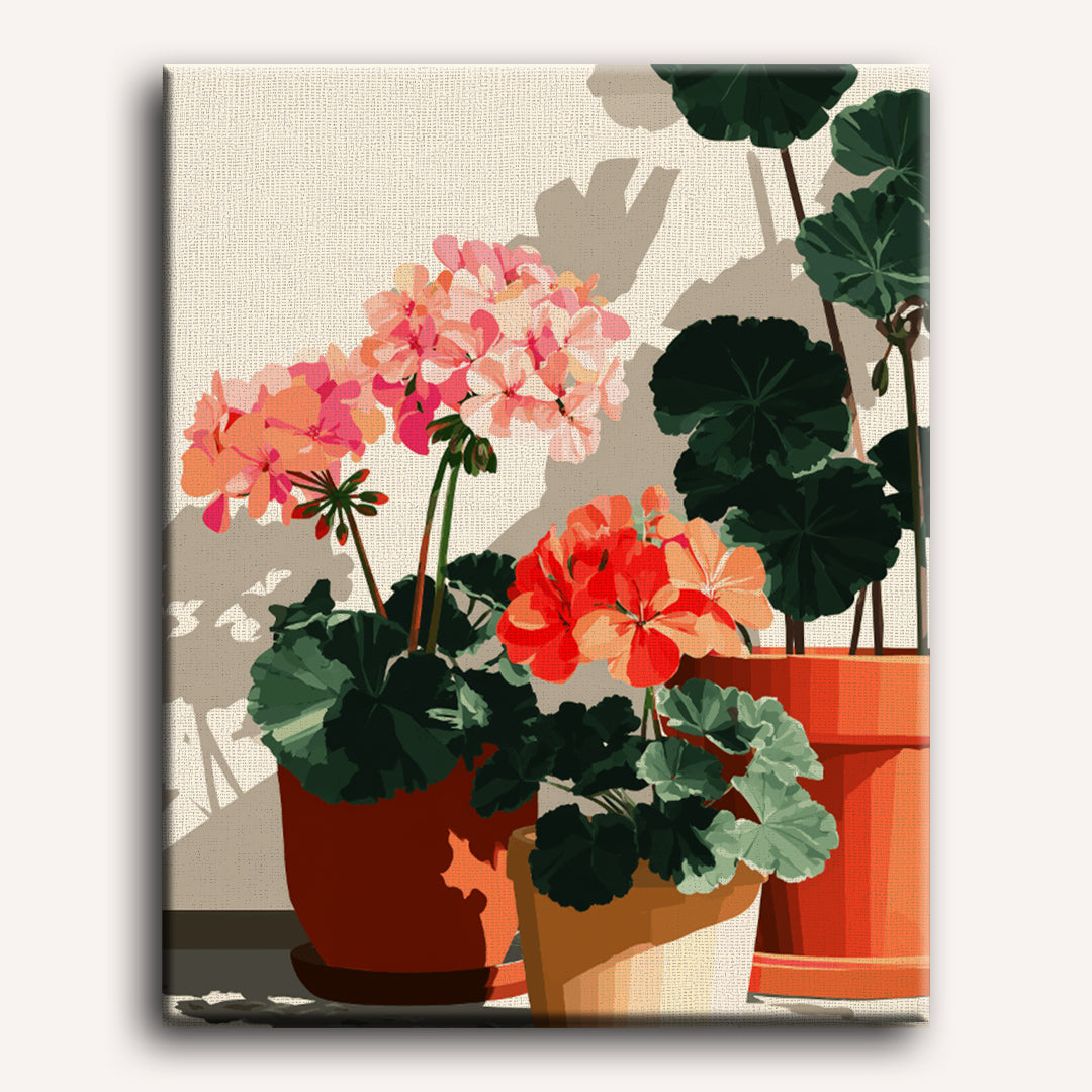 Zonbeschenen geraniums
