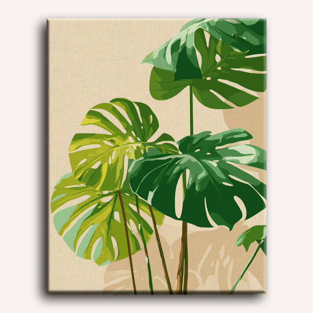 Zonbeschenen monstera