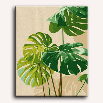 Zonbeschenen monstera