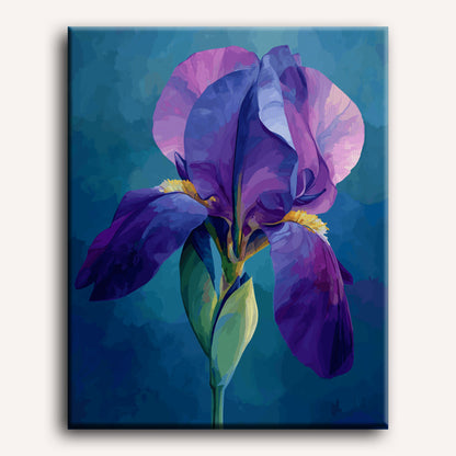 Fluwelen iris