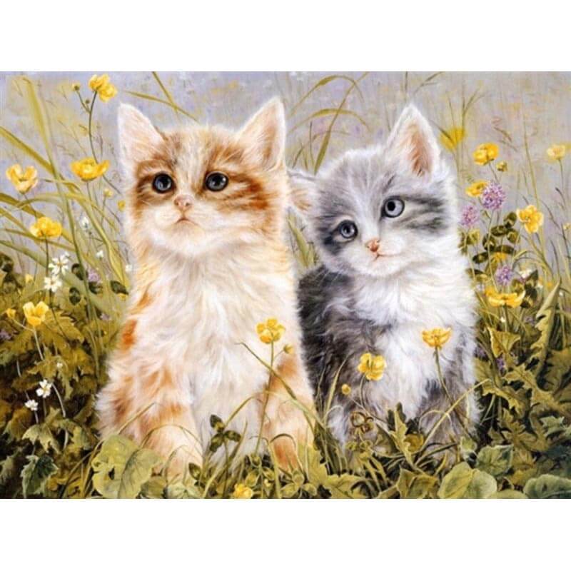 2 Lieve kittens | Schilderen op nummer Schilderen op nummer eigen foto, Schilderen op nummer volwassenen, paint by numbers, verven op nummer, paard, kinderen