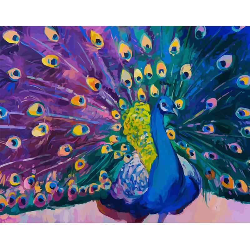 Schilder Op Nummers - Pauw