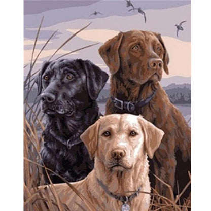 Schilder Op Nummers - 3 Labradors