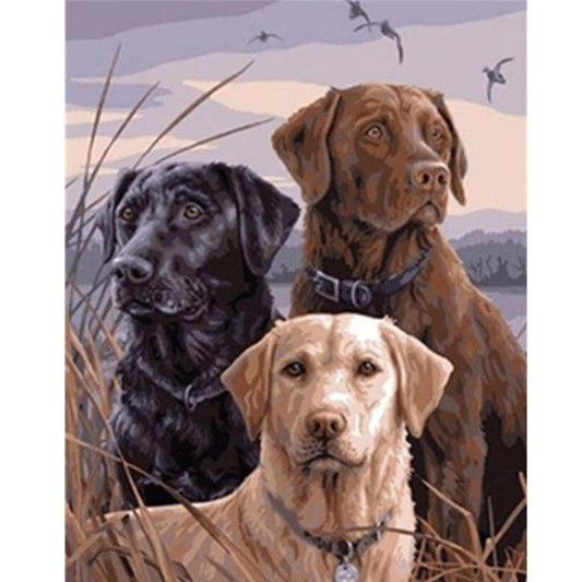 Schilder Op Nummers - 3 Labradors
