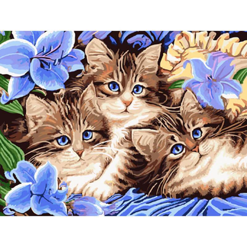 Schilder Op Nummers - 3 Schattige katjes