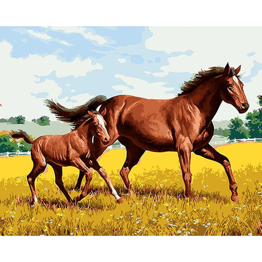 Schilder Op Nummers - Paarden