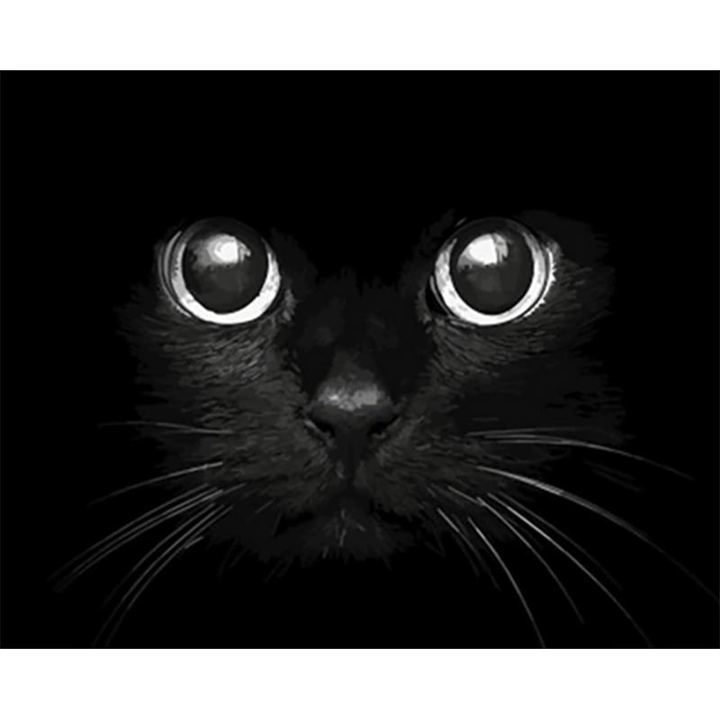 Schilder Op Nummers - Zwarte kat dichtbij