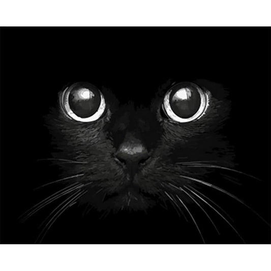 Schilder Op Nummers - Zwarte kat dichtbij